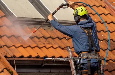 Démoussage et hydrofuge de toiture à Bouzais